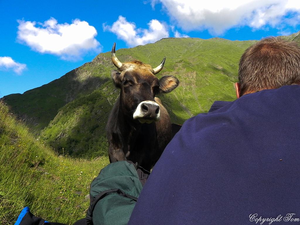 DSCN7720.jpg - Svanetie