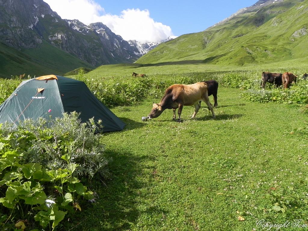 DSCN7802.jpg - Svanetie