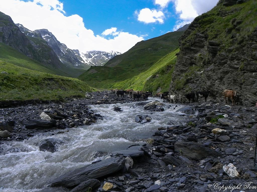 DSCN7824.jpg - Svanetie