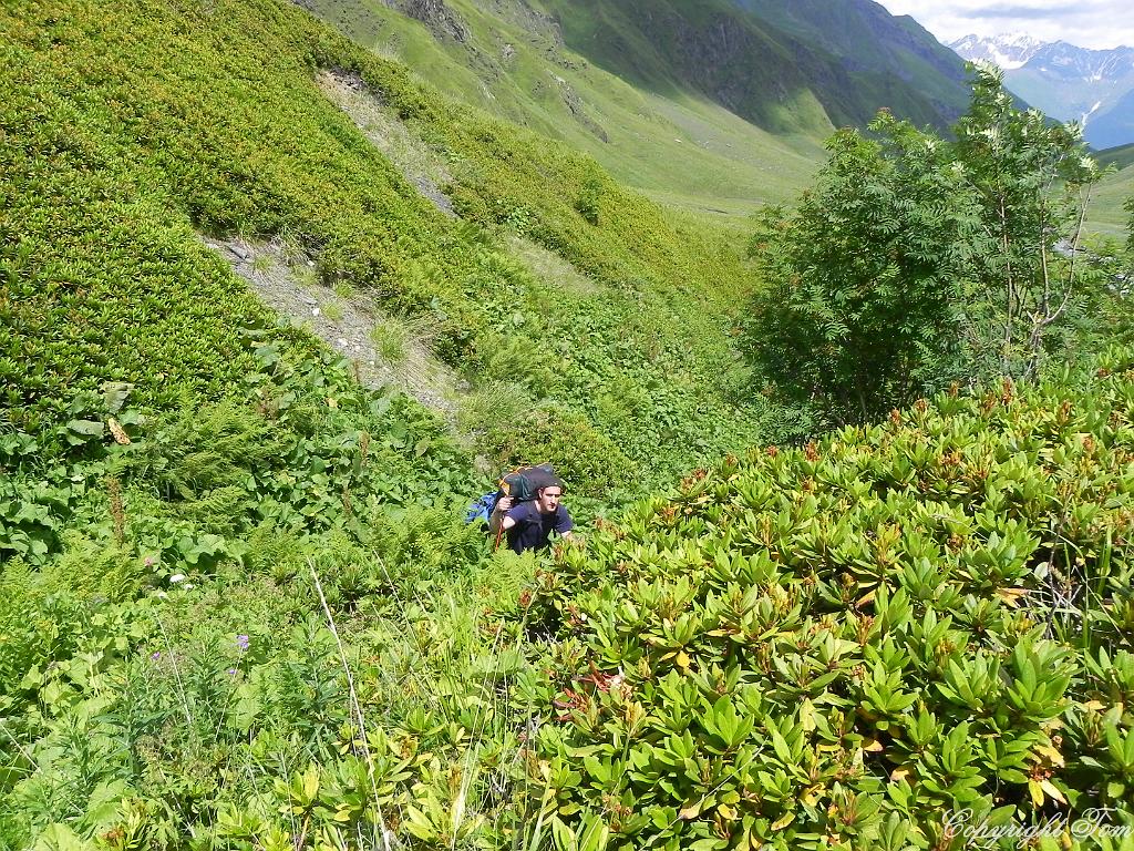 DSCN7825.jpg - Svanetie