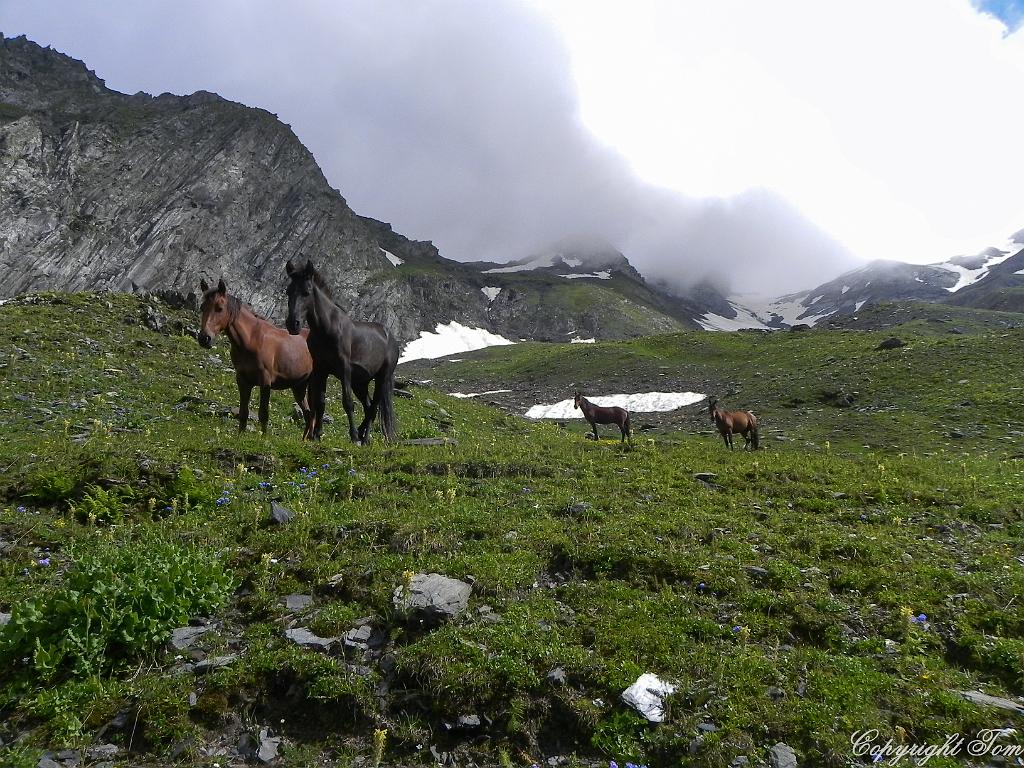 DSCN7854.jpg - Svanetie