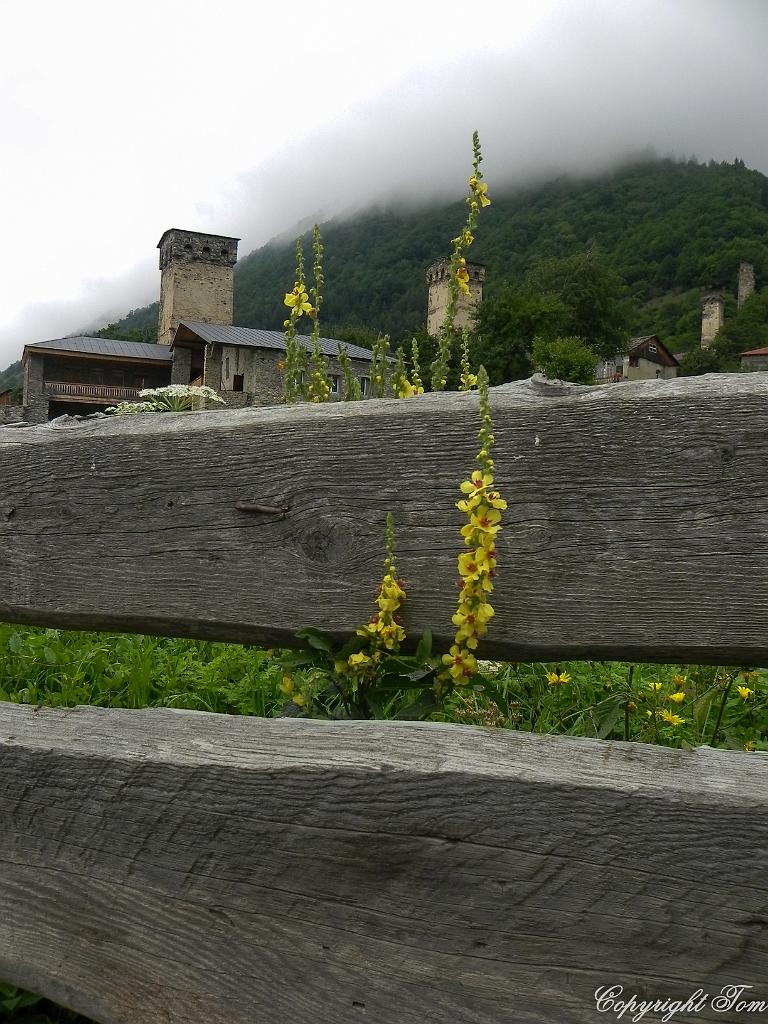 DSCN7919.jpg - Mestia - Svanetie