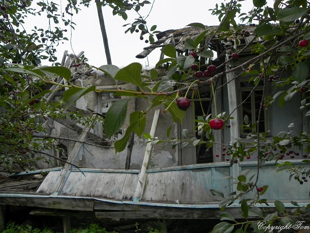 DSCN7922.jpg - Mestia - Svanetie