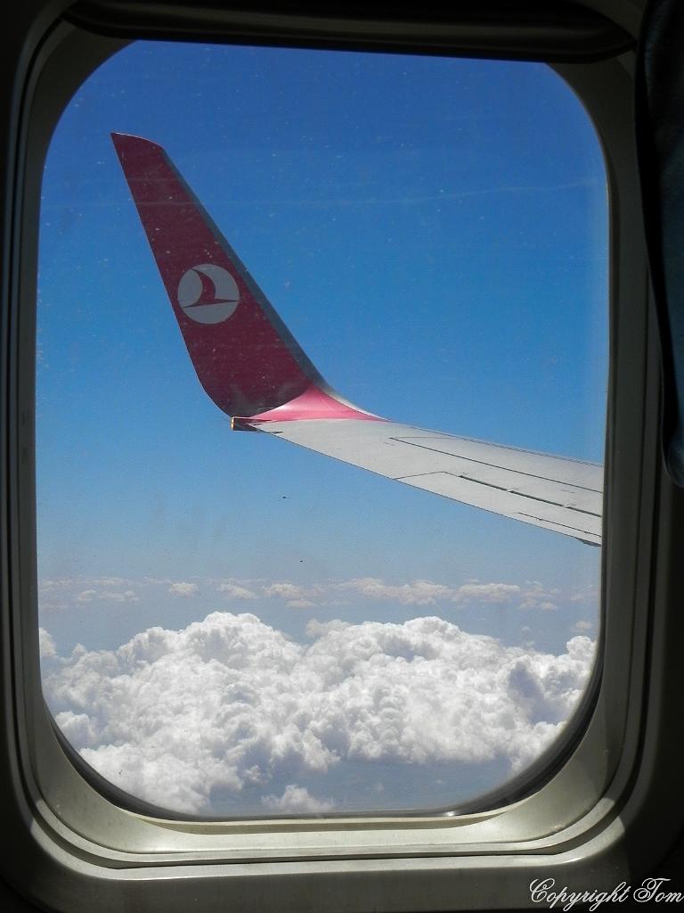 DSCN8158.jpg