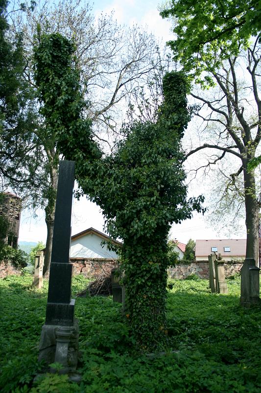 100509-05.jpg