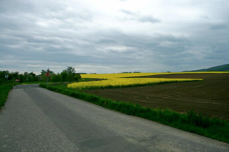 100516-01.jpg