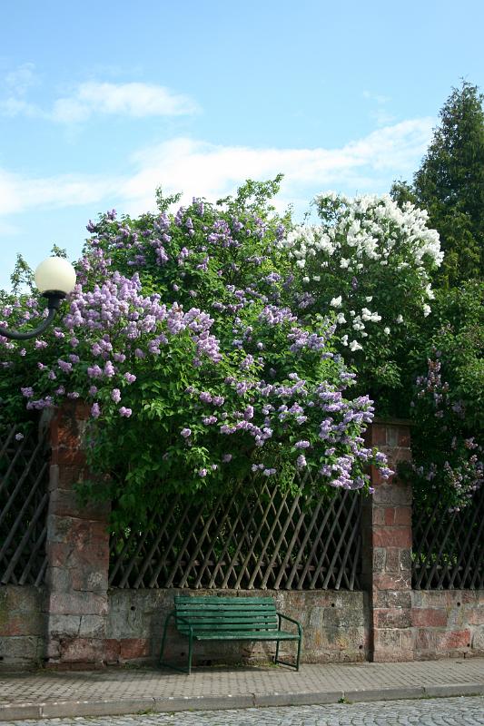 100522-06.jpg