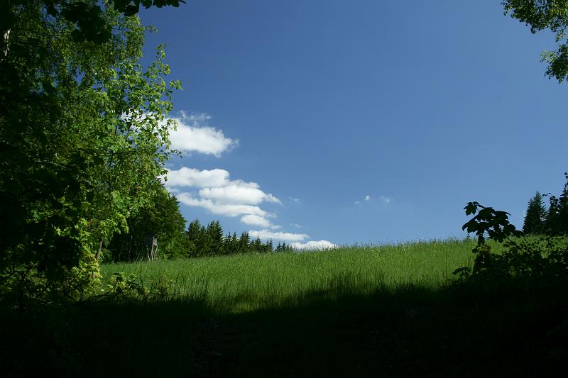 100605-64.jpg