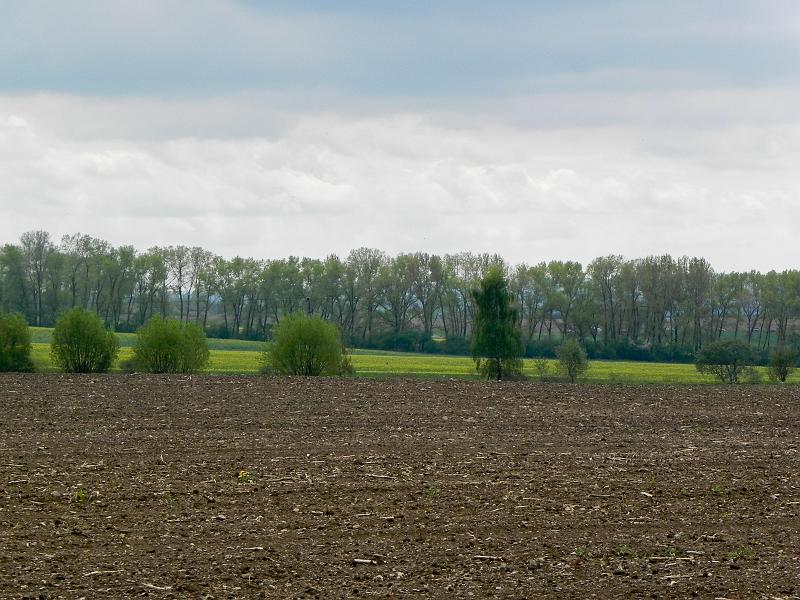 DSCN0616.jpg