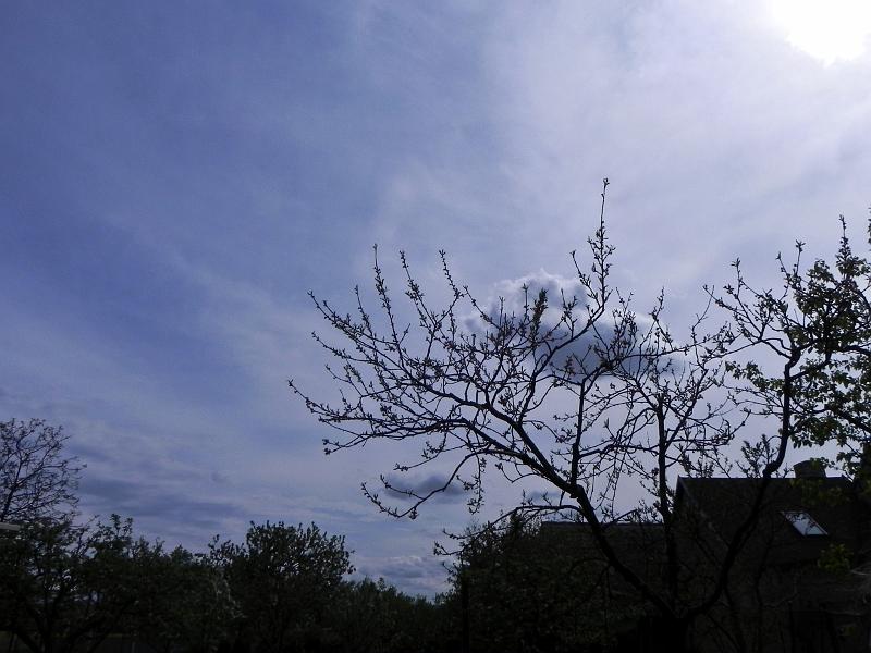 DSCN0699.jpg
