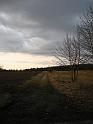 IMG_0070