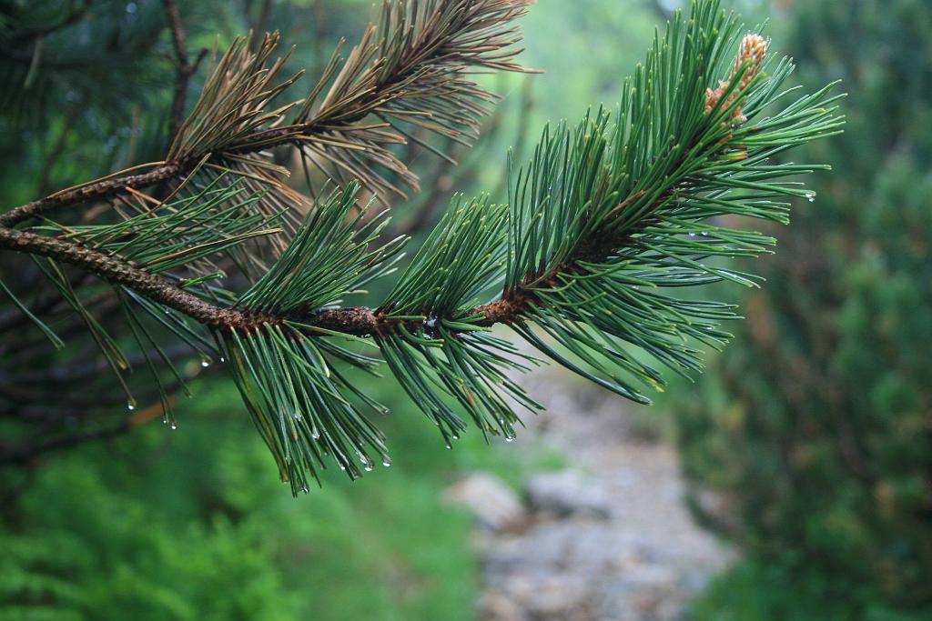 120601-36.jpg