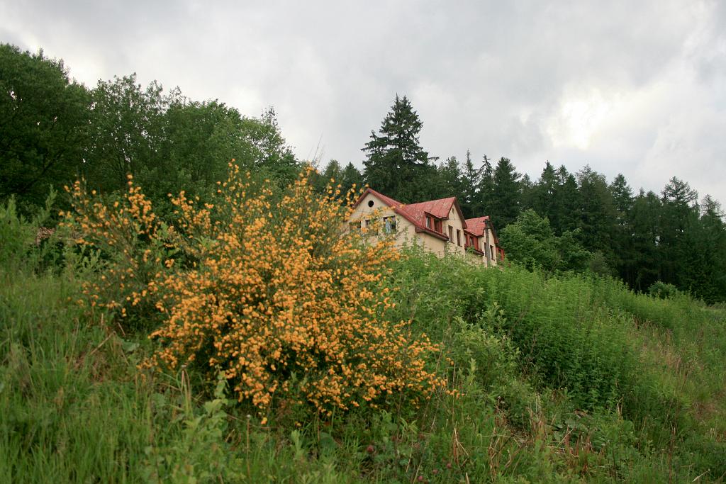 120601-41.jpg