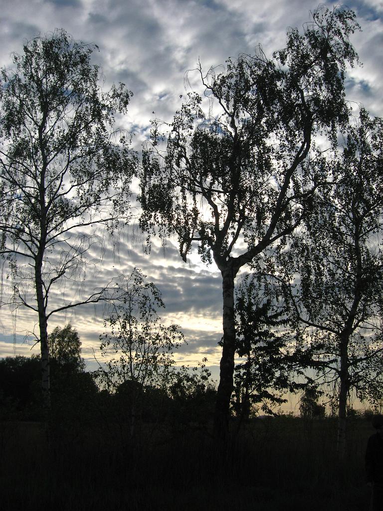 IMG_7370.jpg