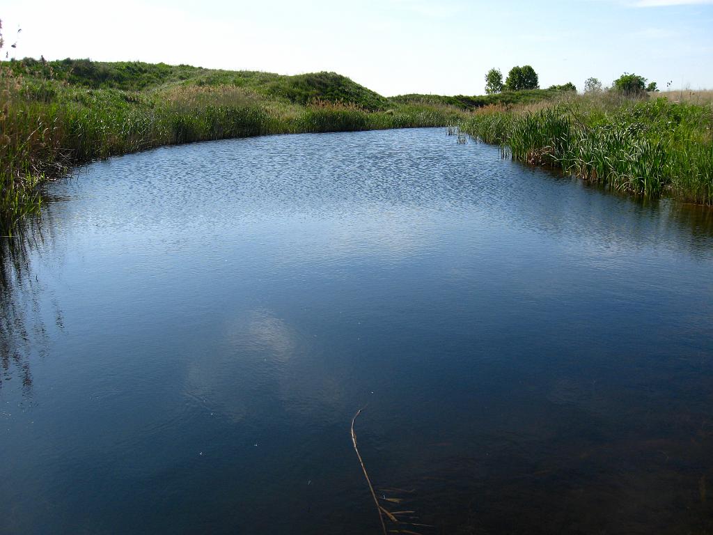 IMG_7478.jpg