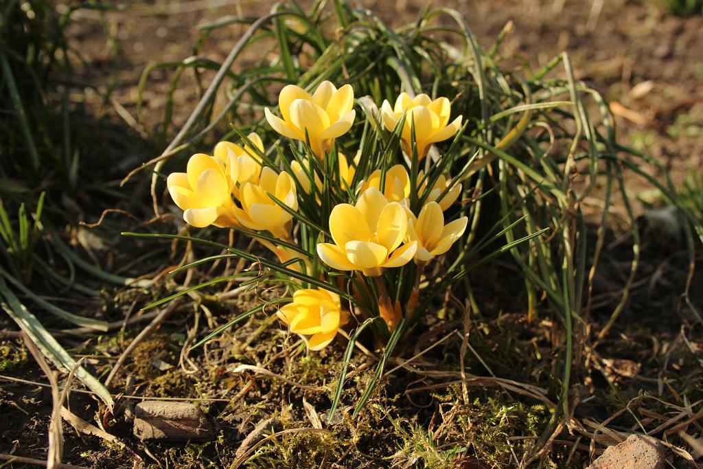 140302-01.JPG