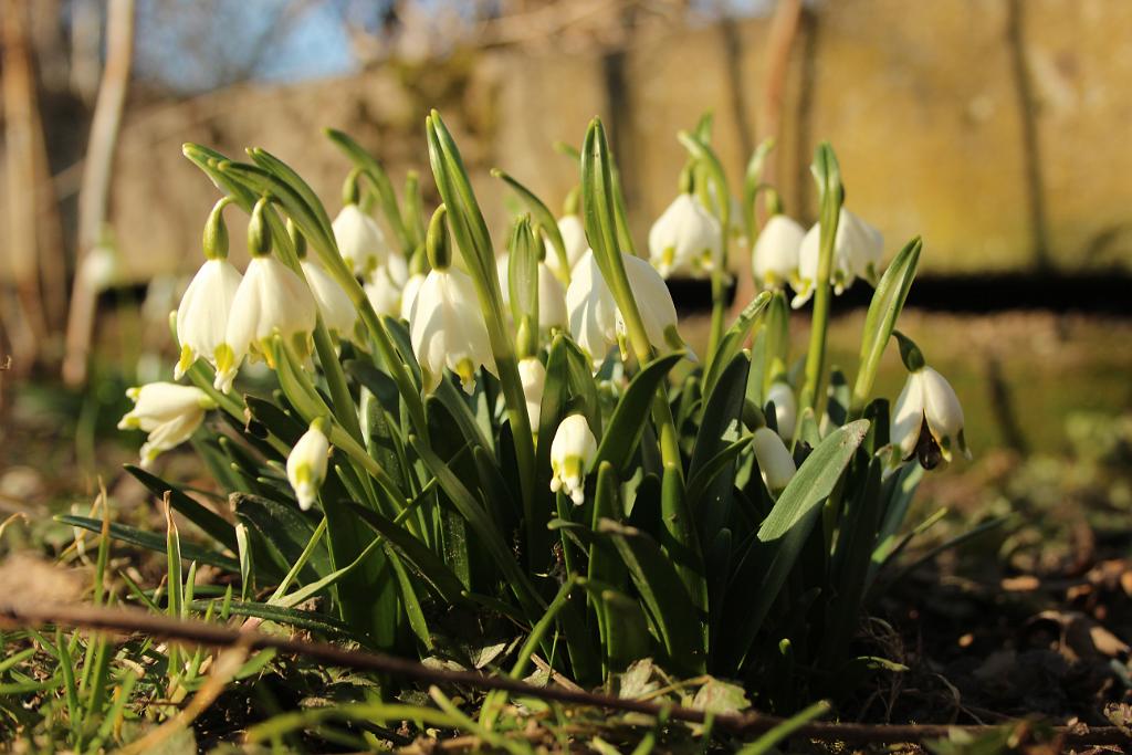 140302-04.JPG