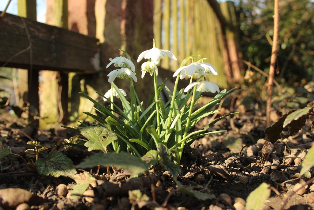140302-07.JPG