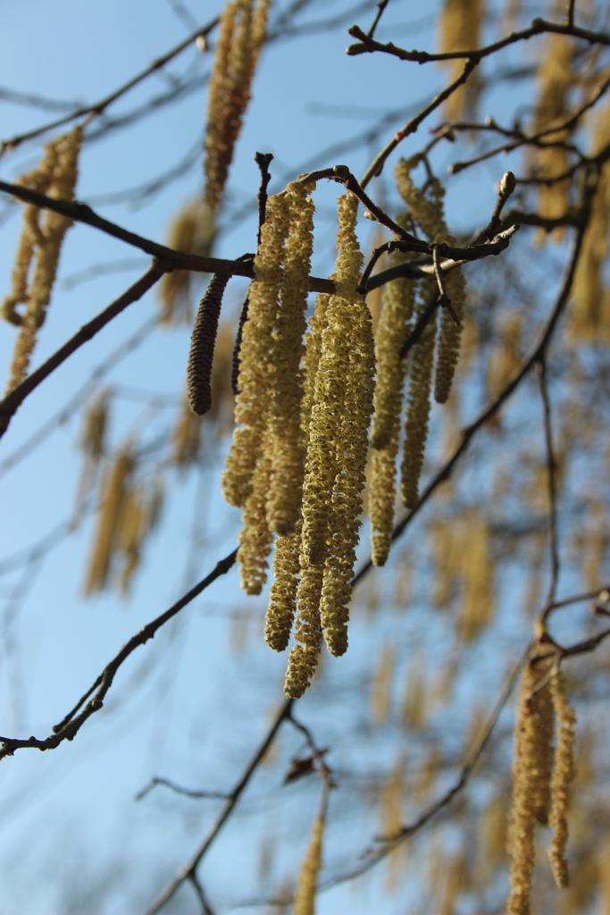 140314-05.JPG