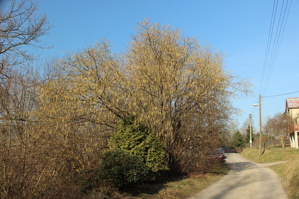 140314-06.JPG