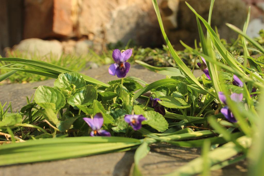 140329-01.JPG