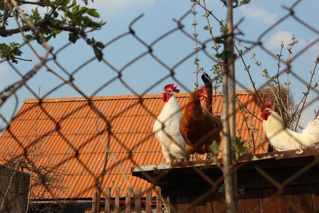 140329-09.JPG