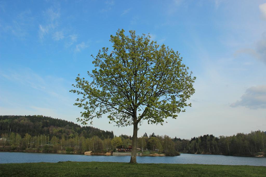 140420-01.JPG
