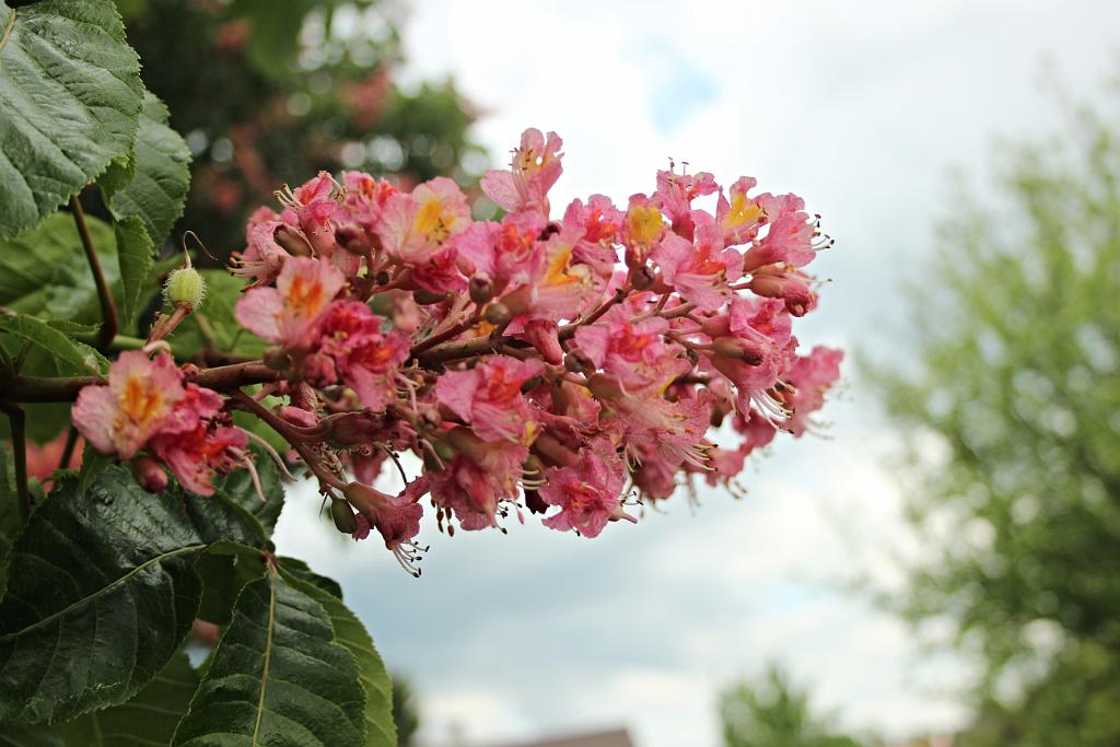 140509-08.JPG