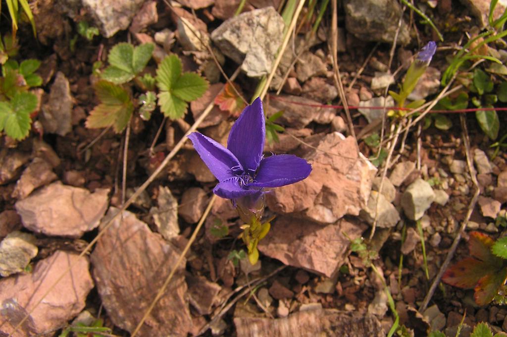 P9160005.JPG