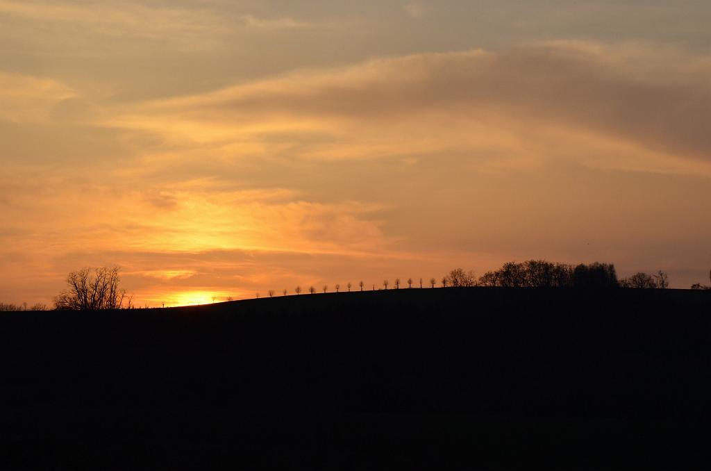 DSC_0465.JPG