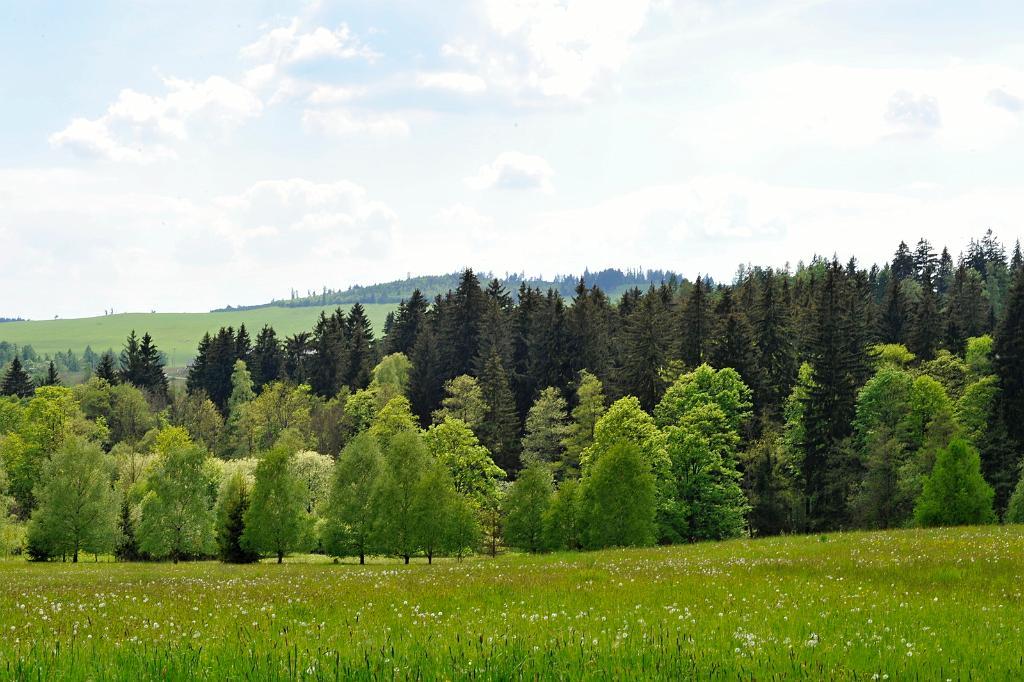 2016_04_20.JPG