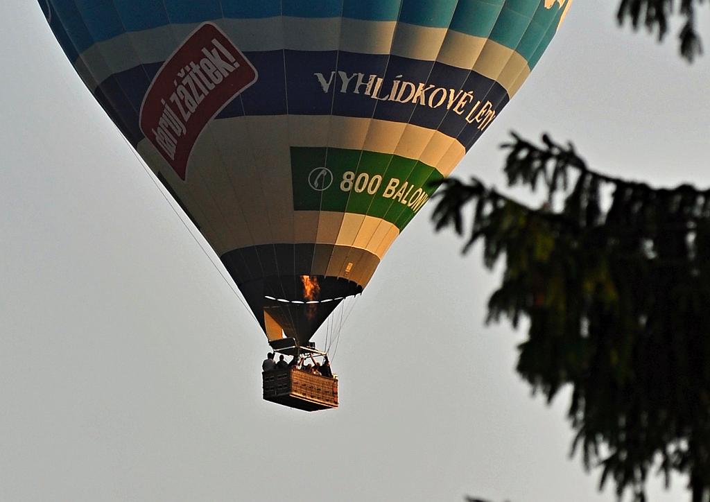 2016_06_5.JPG