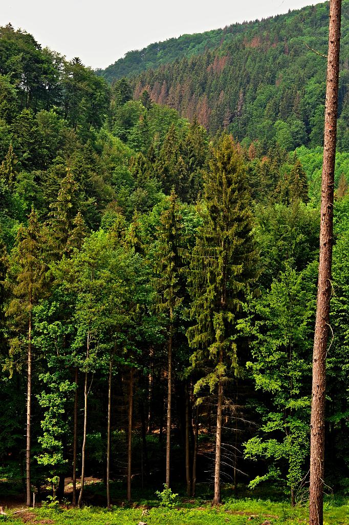2016_07_4.JPG