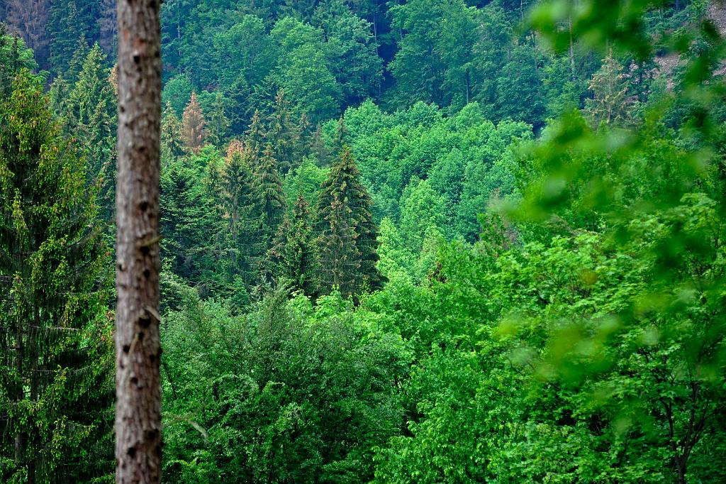 2016_07_6.JPG