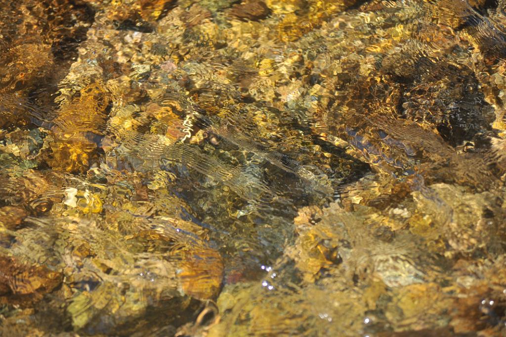 2016_100_9.JPG