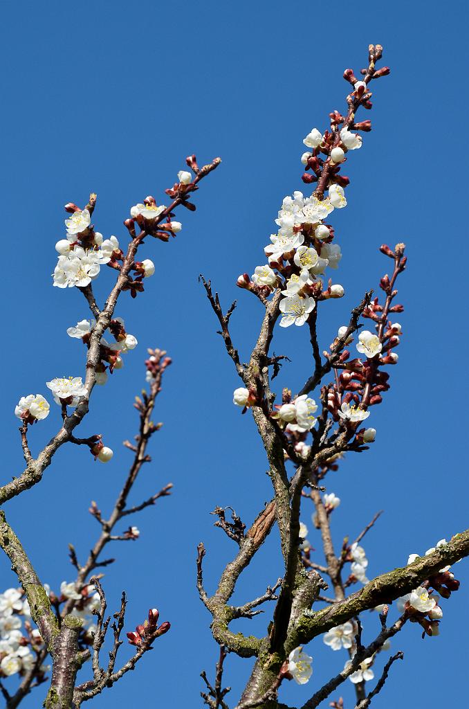 DSC_0659.jpg