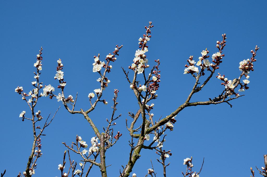 DSC_0660.jpg