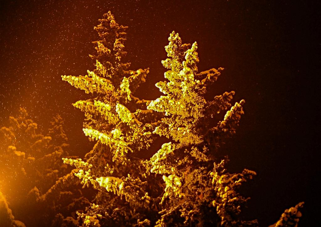 019_15.jpg - Dub nad Moravou