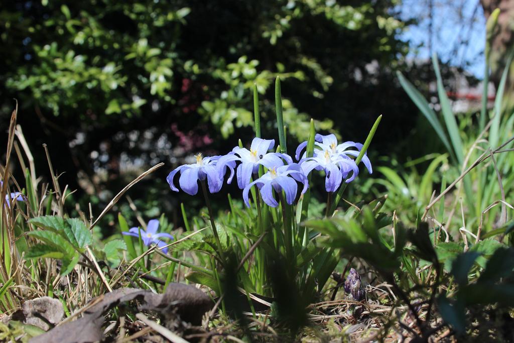 180409-03.JPG
