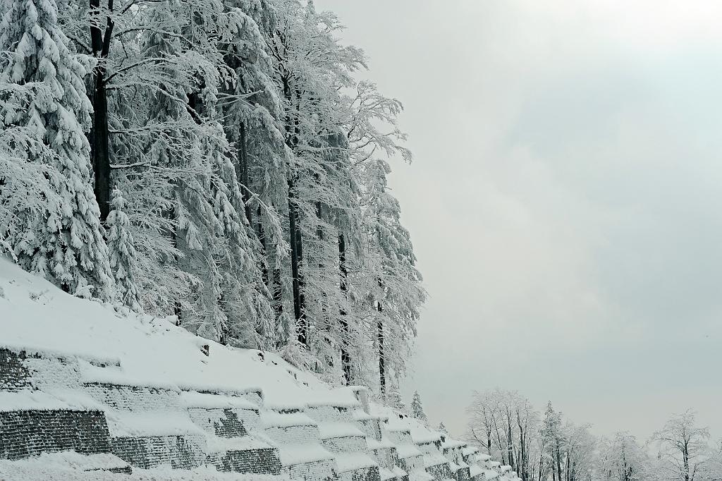 767.jpg - Stránské a Červenohorské sedlo