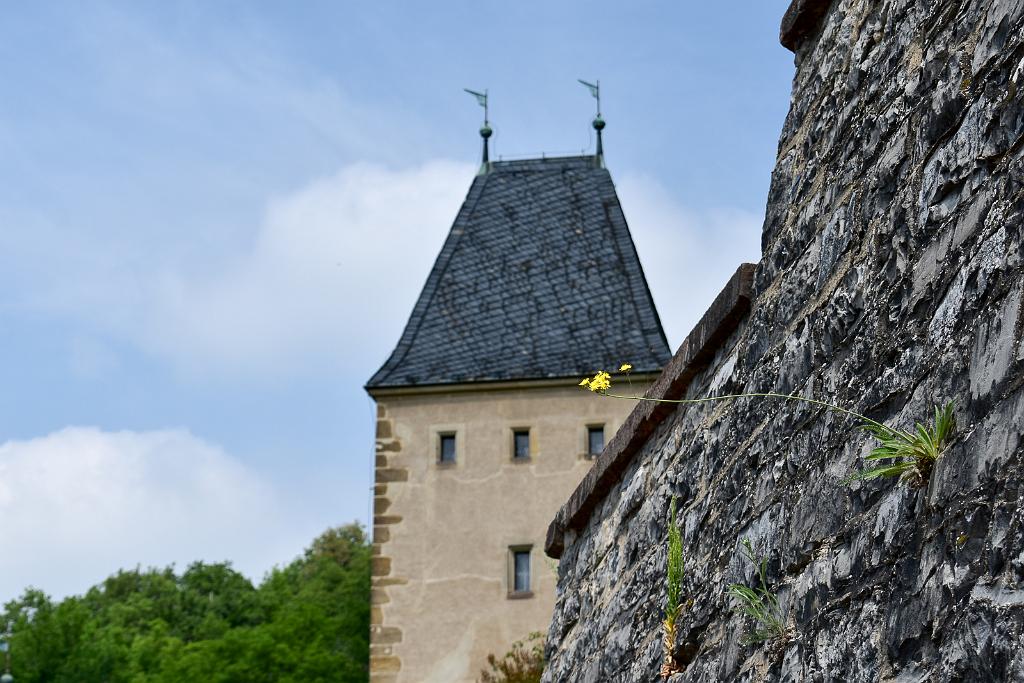 DSC_0953.jpg - Karlštejn