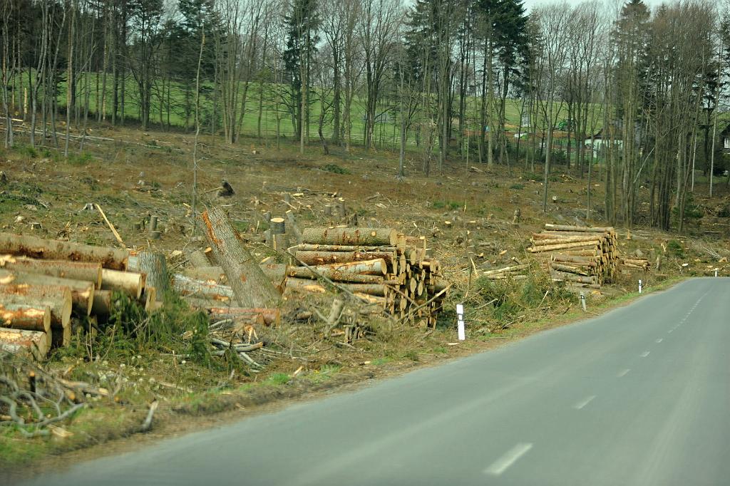 dub2_001_03.JPG - Mutkov - Dolní a Horní žleb