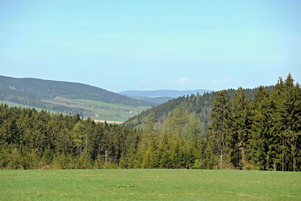 dub2_035_08.JPG - Moravská chata, Paprsek. Dolní Morava