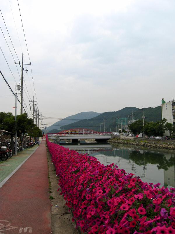 IMG_8812.jpg