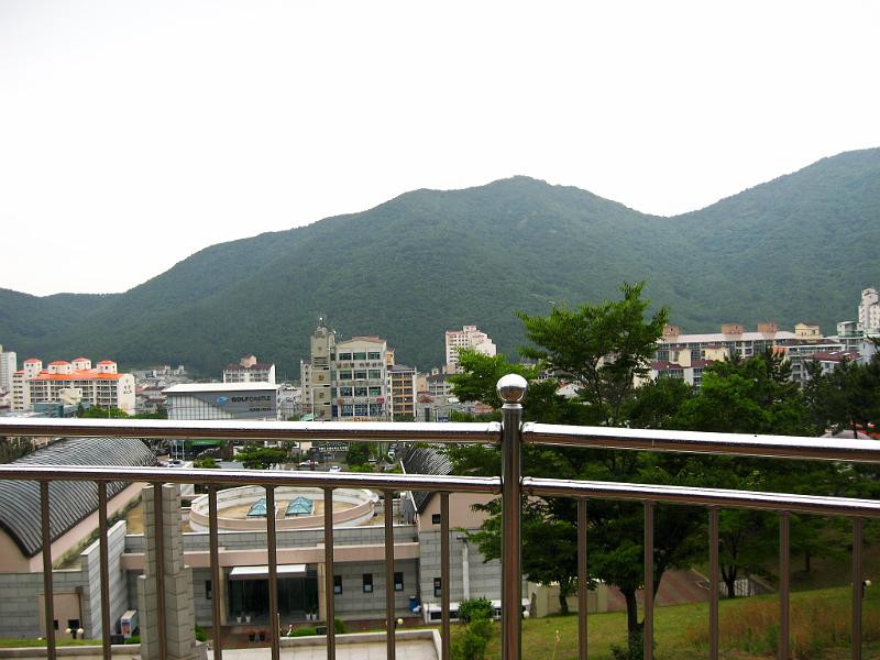 IMG_8845.jpg