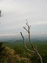 IMG_6688