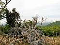 IMG_6706