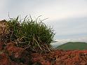 IMG_6715
