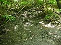 IMG_6791