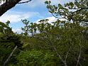 IMG_6818